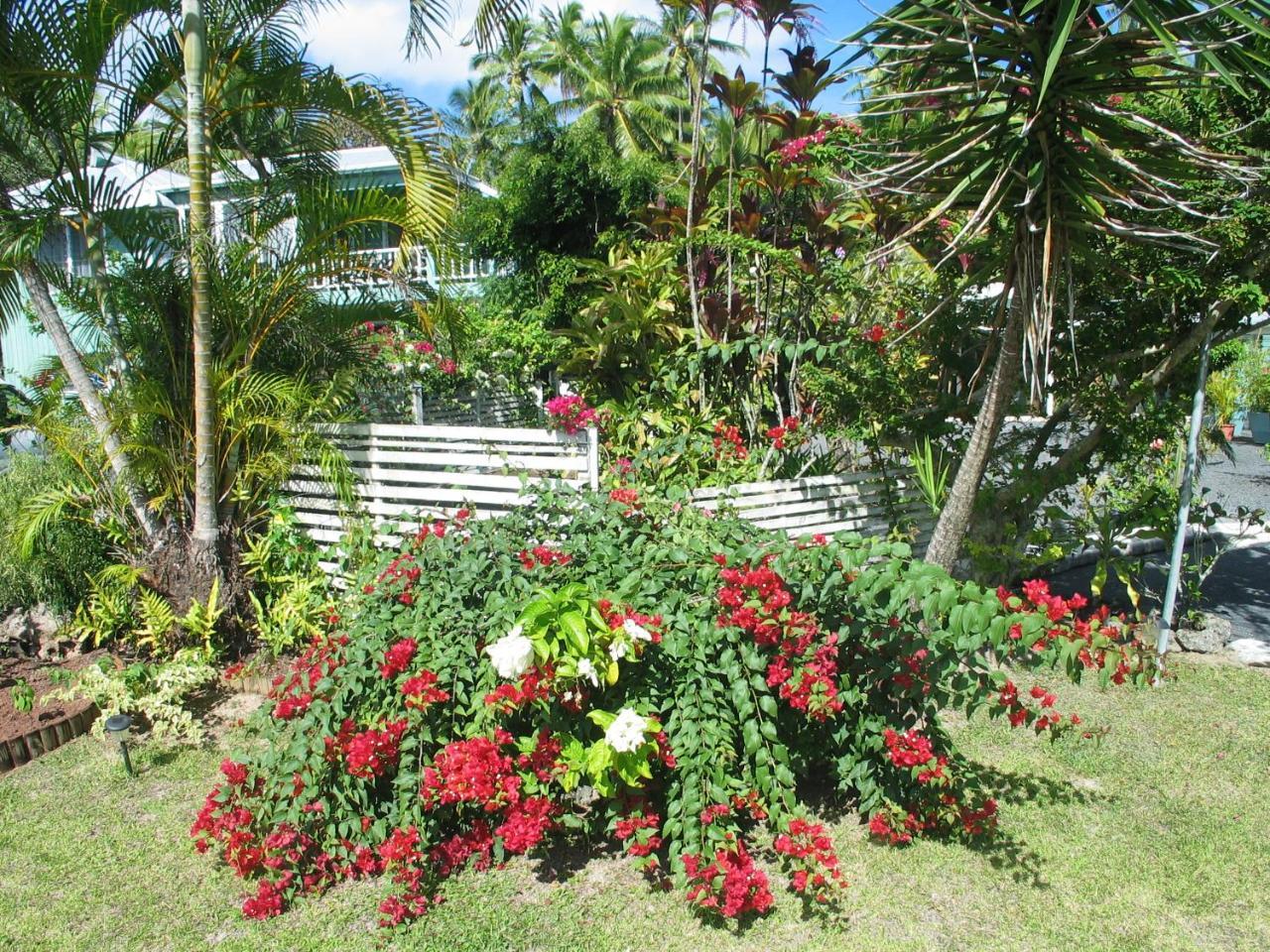 Sunhaven Beach Bungalows (Adults Only) Rarotonga Zewnętrze zdjęcie